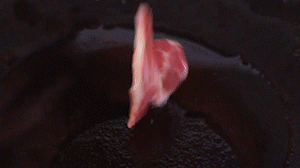 鍋中倒入橄欖油燒熱，放入淡火腿小火煸炒至打卷狀態(tài)。