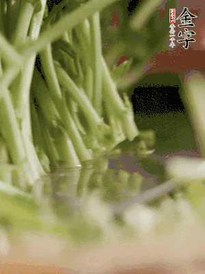 新鮮豌豆苗割下洗凈。