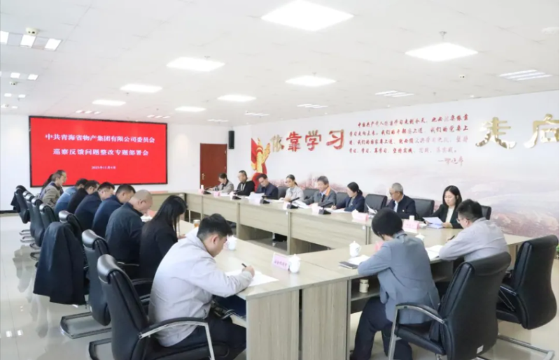 集團(tuán)黨委召開巡察反饋問題整改專題部署會(huì)