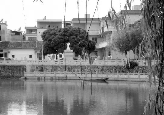 老鄉(xiāng)眼里的李河君：陌生富豪，夫人助其發(fā)財